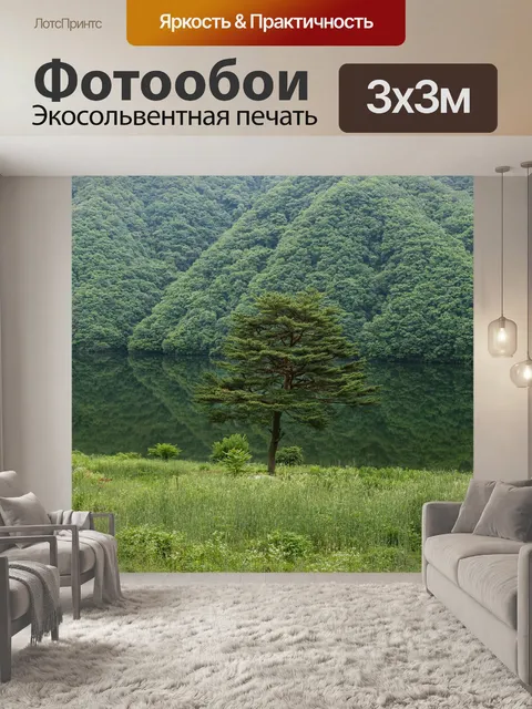 Фотообои Сосна