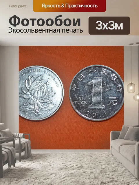 Фотообои Юань спереди и сзади