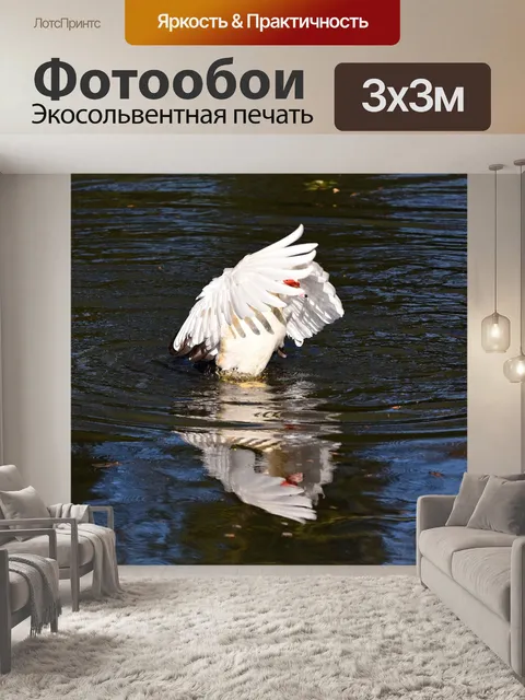 Фотообои Мускусная утка