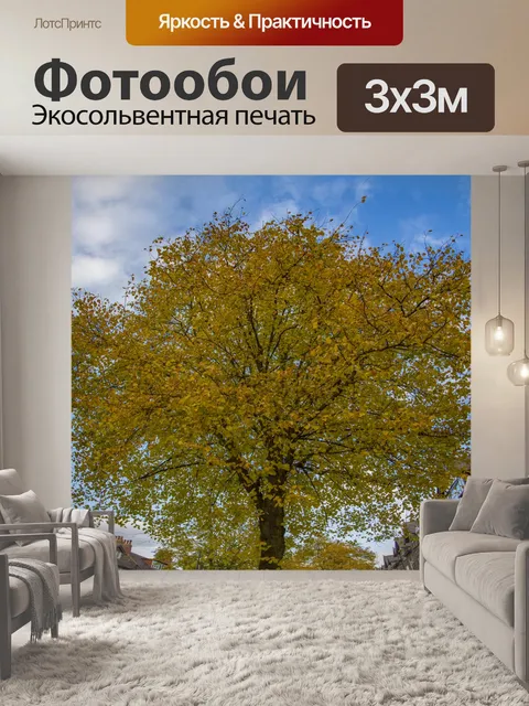Фотообои дерево