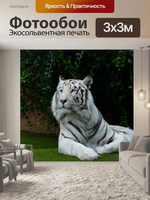 Фотообои Белый бенгальский тигр