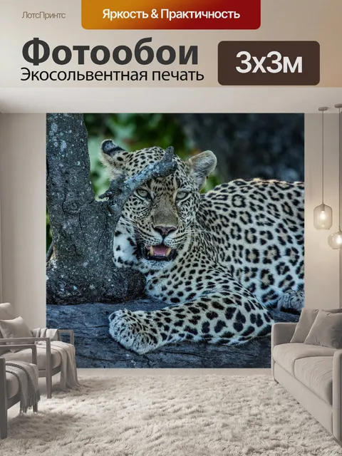 Фотообои Леопард