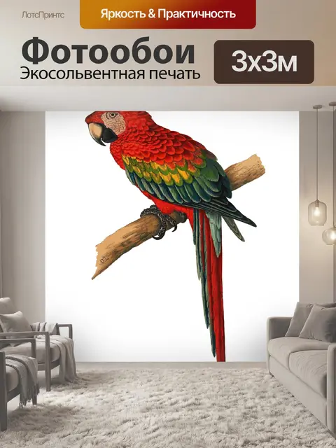 Фотообои Винтажное Искусство Ара