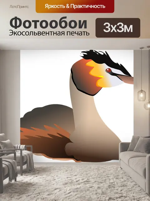 Фотообои Поганка