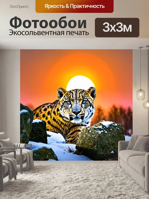 Фотообои снежный барс, прячущийся за камнями на фоне заката, его глаза светятся, готовые к охоте