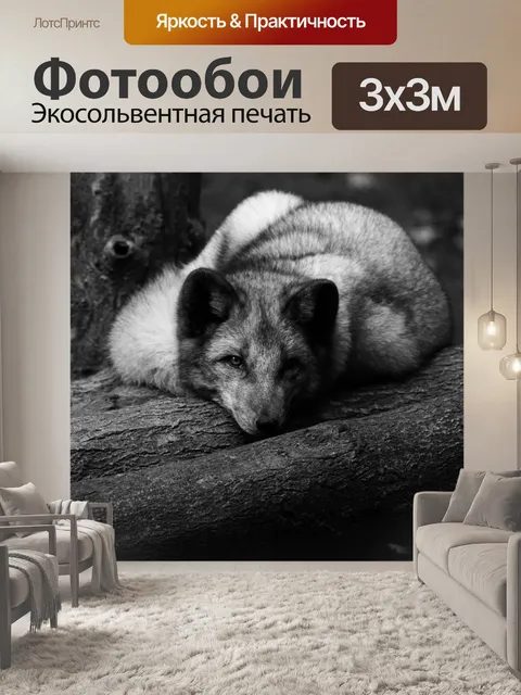 Фотообои Песец