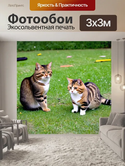 Фотообои кошки, устраивающие театральное представление в парке