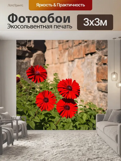 Фотообои красные цветы на фоне старинной стены