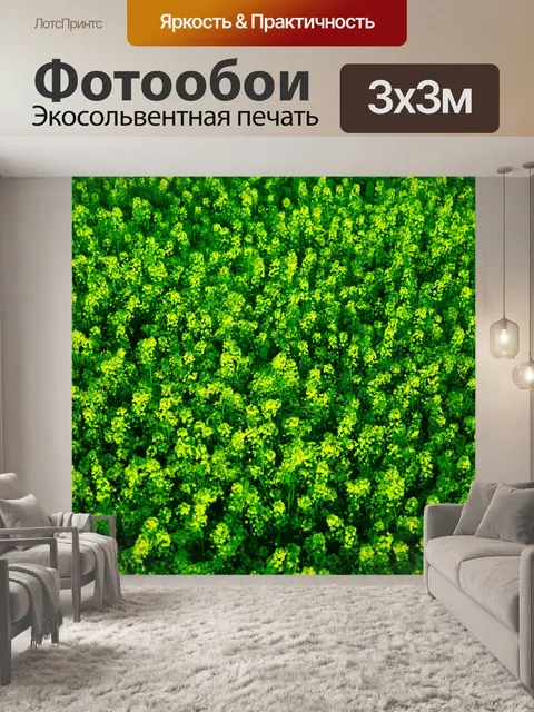 Фотообои Рапсовое фон