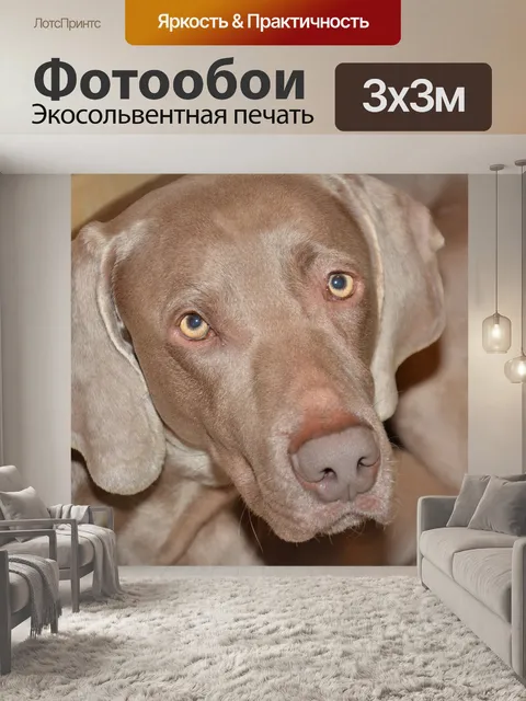 Фотообои Талисман