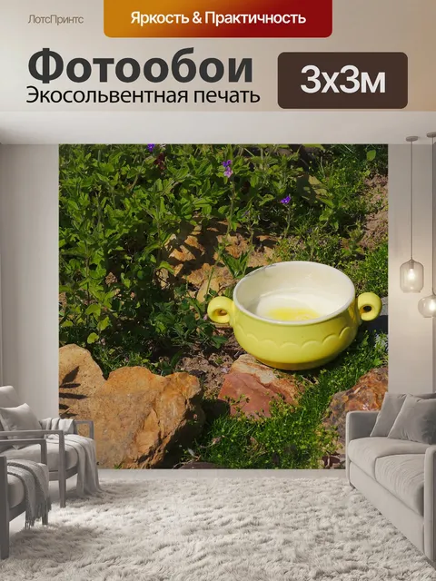 Фотообои Природа
