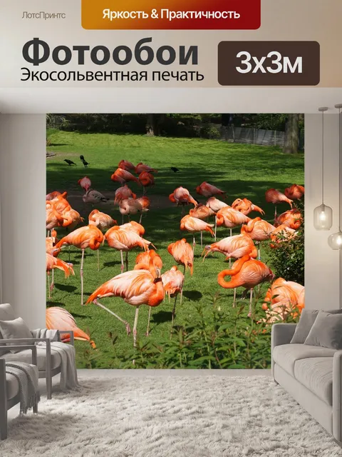 Фотообои Фламинго