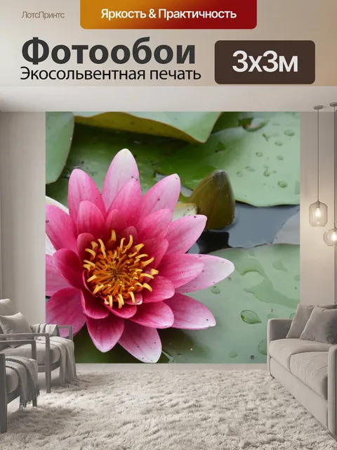 Фотообои Lotus