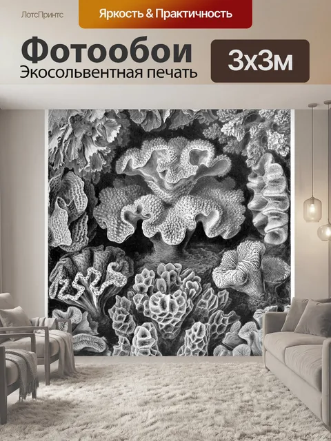 Фотообои Старинный старый Эрнст Геккель