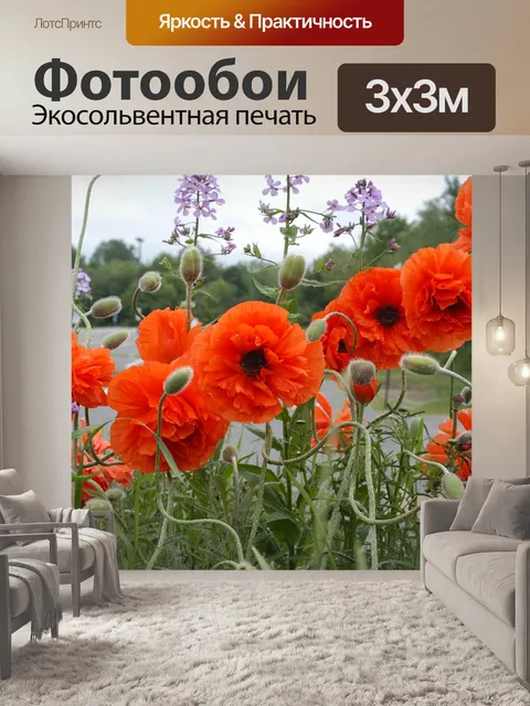 Фотообои Маки