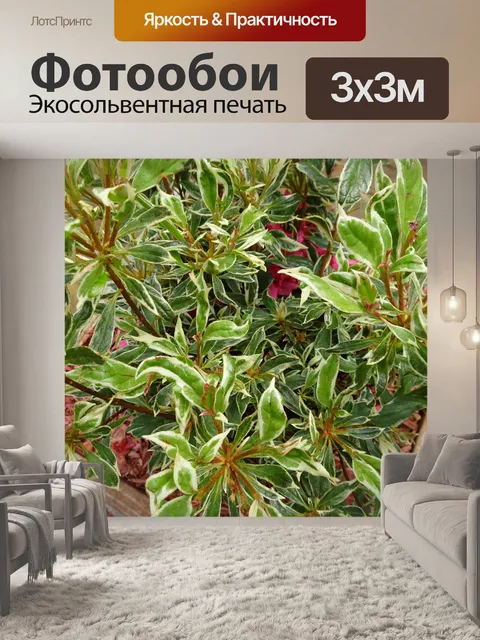 Фотообои зеленые листья