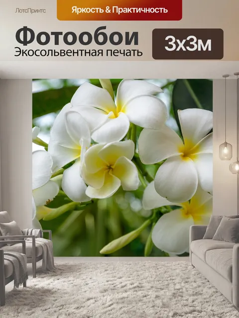 Фотообои Цветок