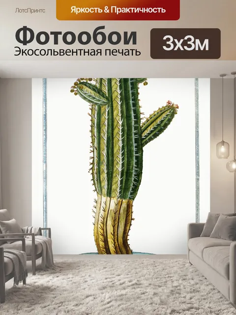 Фотообои Кактус cacti art vintage