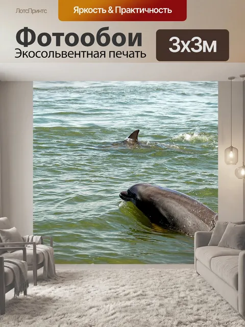 Фотообои Дельфины в дикой природе