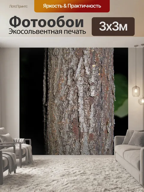 Фотообои Кора дерева закрыть