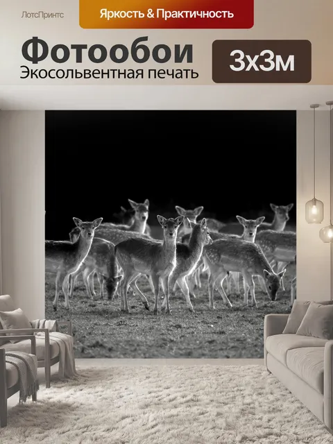 Фотообои олень
