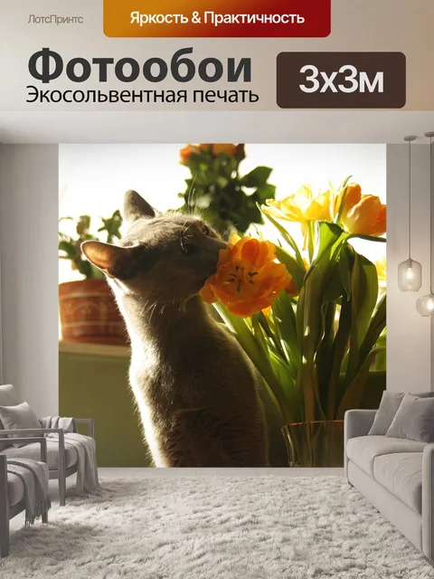 Фотообои Кот