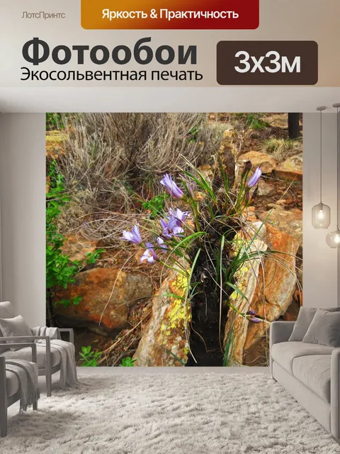 Фотообои черная палочка лилии с цветами