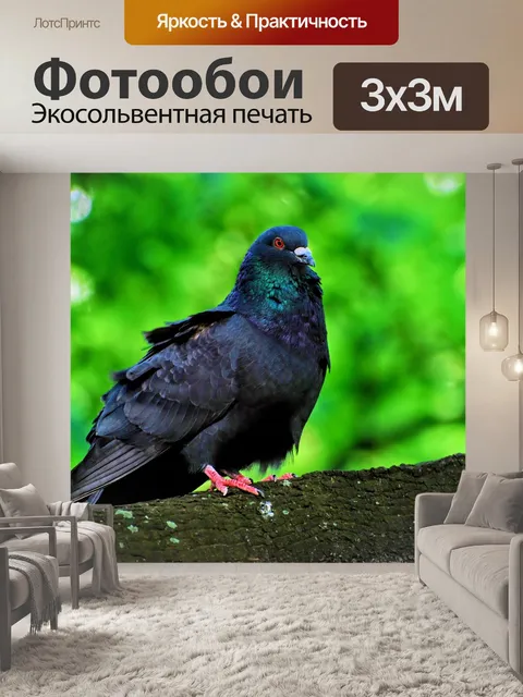 Фотообои Птица
