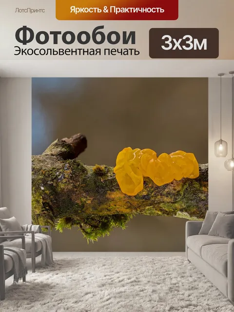 Фотообои Золотисто-желтый дрожь