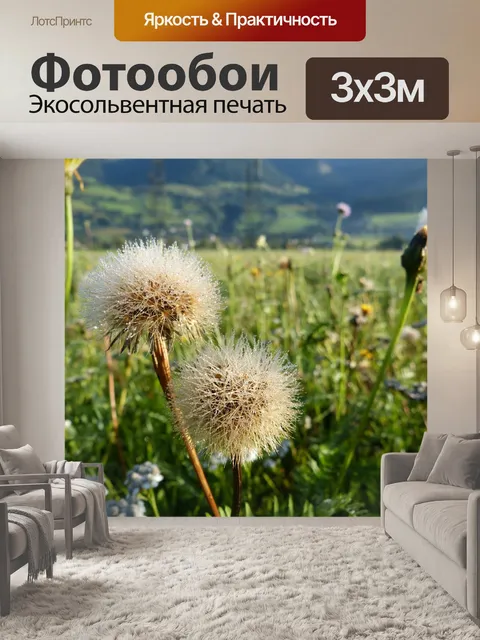 Фотообои Осенние одуванчики