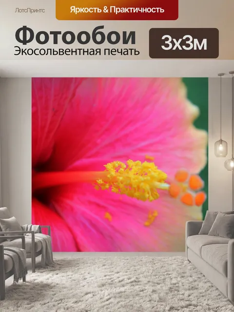 Фотообои Gumamela