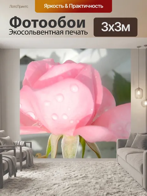 Фотообои Розовая роза