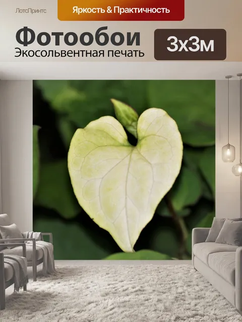 Фотообои Белый лист в форме сердца
