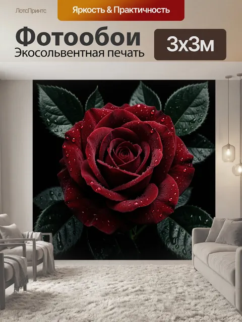 Фотообои Алая роза с каплями росы