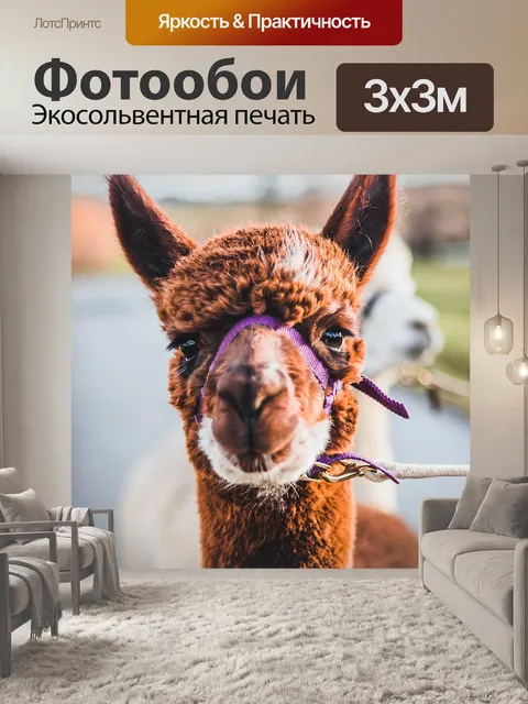 Фотообои Альпака