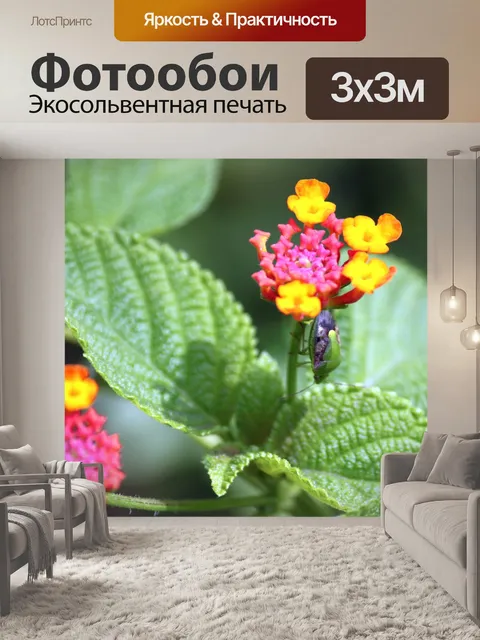 Фотообои Поле вишневый цветок и листья