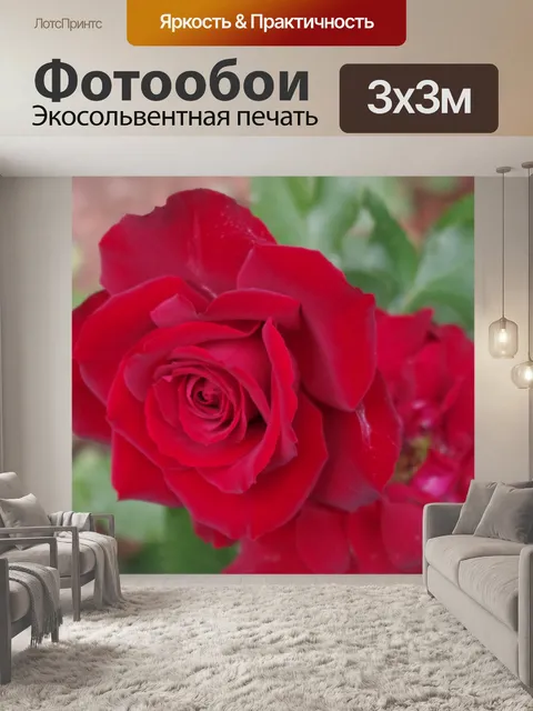 Фотообои Десять-десять выросли