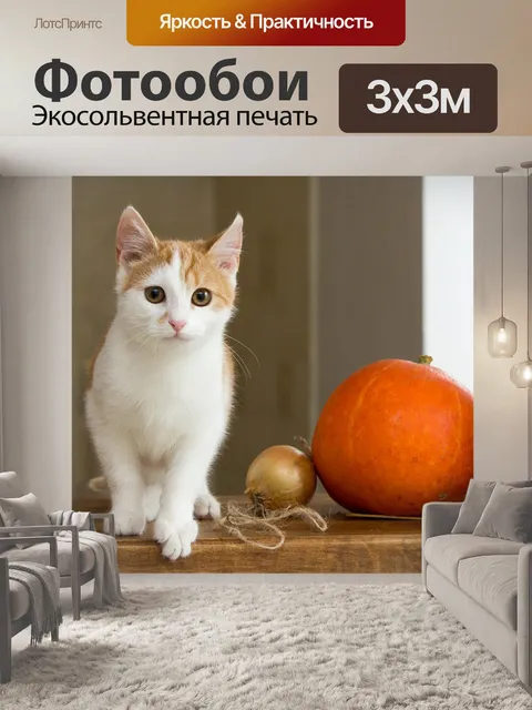 Фотообои Кот