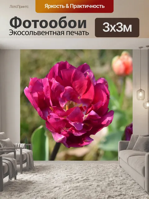 Фотообои Цветок