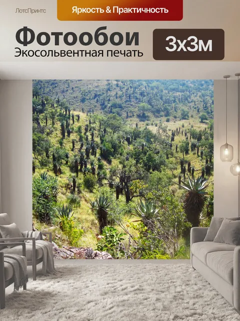 Фотообои вид на горы алоэ между холмами