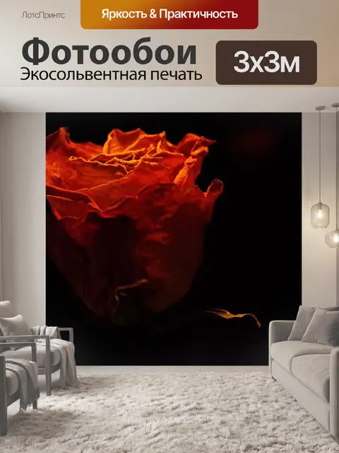 Фотообои Роза