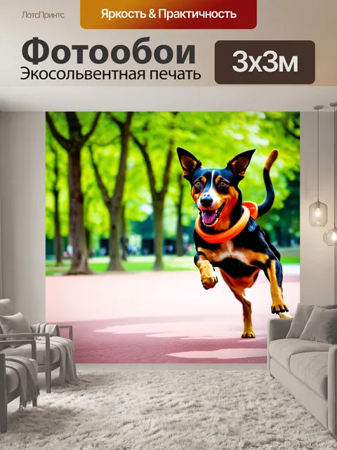 Фотообои очаровательный пёс, создающий оригинальные трюки в безумной тренировке по парку