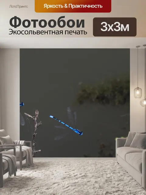 Фотообои лазурная красотка