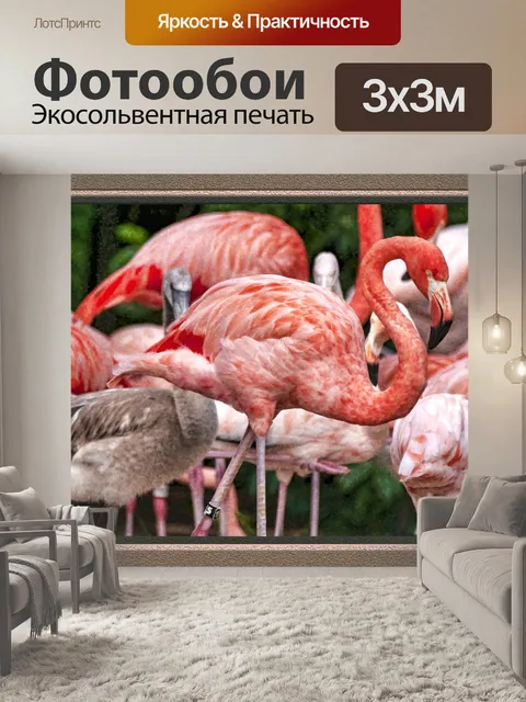 Фотообои Фальшивые фреймы