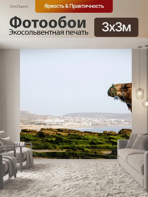 Фотообои Верблюд