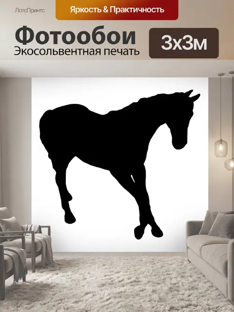 Фотообои Силуэт лошади