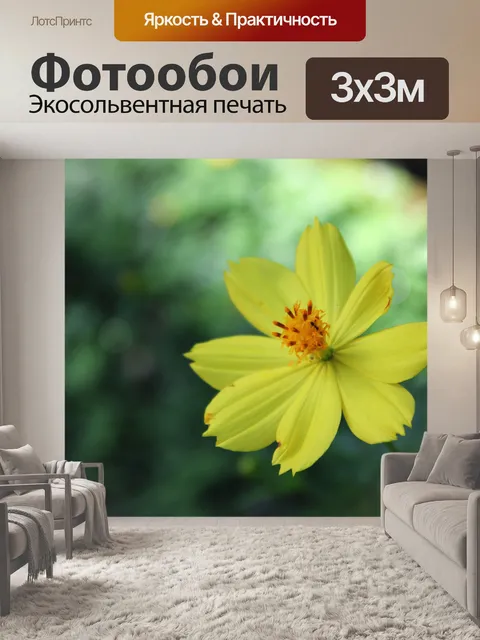 Фотообои желтом фоне цветов 6