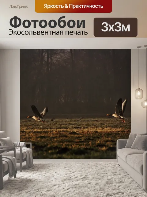 Фотообои Дикие гуси