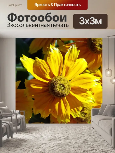 Фотообои Георгин