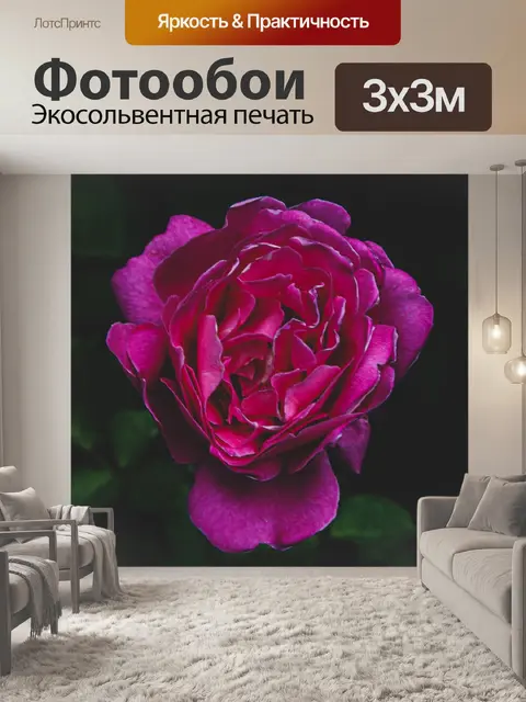 Фотообои Розовый